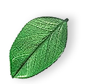 floating_leaf_01 https://vikicleaning.ca/wp-content/uploads/2025/07/floating_leaf_01.png